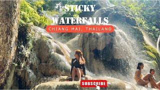 Things to do in Chiang Mai BUA THONG WATERFALLS | Incredible Sticky Waterfalls