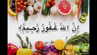 ( وَاسْتَغْفِرُوا اللَّهَ ۚ إِنَّ اللَّهَ غَفُورٌ رَّحِيمٌ ) القارئ عبدالرحمن مسعد