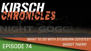 What To Do With Stubborn Coyotes? Shoot Them!!: KC Ep.74