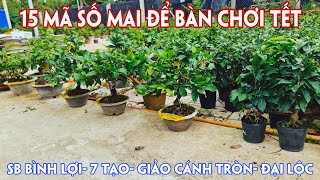 13/10. Mai Để Bàn Chơi Tết Giá Rẻ Nhiều Loại Giống.☎Trang 0359910781