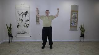 Medical Qigong:  Heart Qigong Summer Set and Five Monkeys