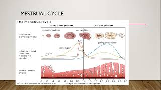 Role of Ultrasound in Ovarian Stimulation