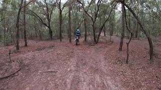 Riding at Croom 11/22/20