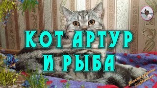 Кот Артур и рыба