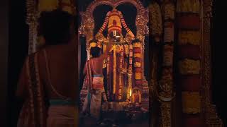 Venkanna swamy#tirupati #annamayyasankeerthana #harathi #venkateswara #shortsvideo #viralvideo