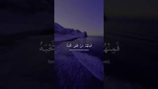 ❤️ quran recitation really beautiful amazing crying Emotional by Sheikh Muhammad Al Luhaidan ❤️