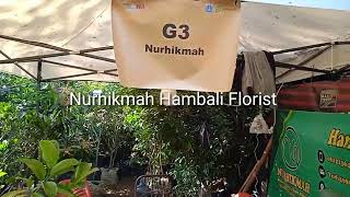 Nur hikmah Hambali Florist | Flora & Fauna 2023 | Lapangan Banteng Jakarta Pusat !