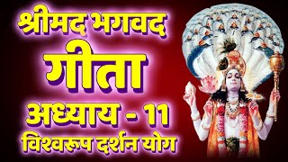 भगवद गीता, 11वें अध्याय, विश्वरूपदर्शन योग | Bhagvad Gita, Chapter 11, Vishwaroopa Darshan Yoga