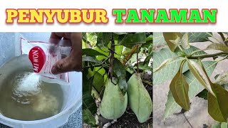 Pupuk penyubur tanaman harga ekonomis (1.3)