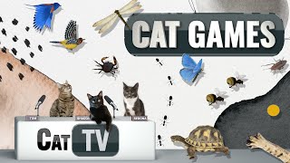 Кошачьи игры | Лучшая подборка Cat TV, том 11 | 1 ЧАС 🐱📺🎈🦜🐜🐭🧵🐝🐞🦋🦎