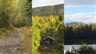 Two Days Cabin Camping in Cozy Alaskan Cabin | Cooking Chicken and Beef Stew | Byers Lake Cabin #2