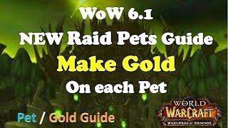 WoW NEW 6.1 Complete Raid Pet Locations and Gold Guide WoD