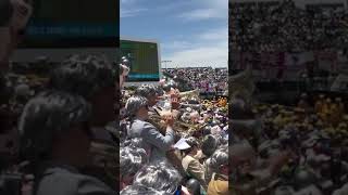 Austrailian fans are enjoying day1 of ashes||Aus vs Eng||#aus#eng#theashes