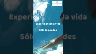 La vida es experimentar