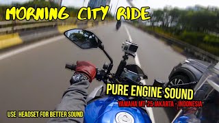 Pure Sound Of Yamaha #mt25  - Morning City Riding