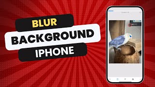 How to Blur Background on iPhone in 2024