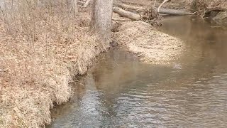 🧘‍♂️Relaxing creek babbling sound - loop⛅️