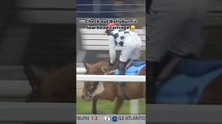 The jockey will forgive him when he’s THAT good #cheltenhamfestival #horseracing #horses