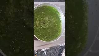 मटर पालक रेसिपी | Matar Palak Recipe 😋#shorts #ytshorts #cooking