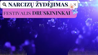 Narcizų Žydėjimo Šventė | Druskininkai | 2024