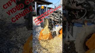 Cippato diy wood chippers  #shorts #chips #woodcutting