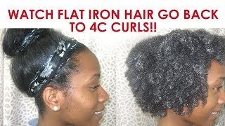 Watch Flat Iron Hair go Back to Natural 4b/4c Curly Hair