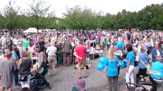 Loppis Limhamn (limhamnstorget) 29/8 2015