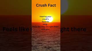 Crush Fact