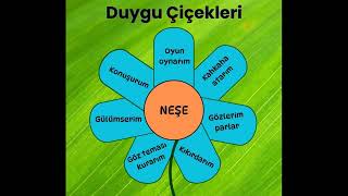 Duygu cicekleri,Foto klipler,Duygu Nedir,Öfke, Neşe,  Üzüntü, Şaşkınlık, Temel Duygu Çeşitleri Neler