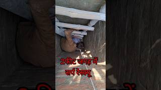 ऐसा सर्प रेस्क्यू!!#shortsvideo #shorts #short #shortvideo #shortsfeed #shortsviral #shortsyoutube