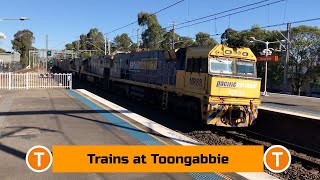 Adam's Trains Vlogs: Trains at Toongabbie