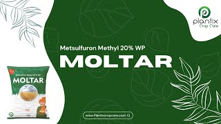 MOLTAR (Metsulfuron Methyl 20% WP)