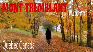 MT TREMBLANT/ Fall/Autumn Quebec, Canada