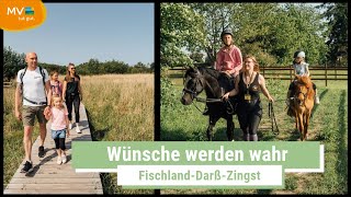 Fischland-Darß-Zingst: Urlaub für die ganze Familie | Mecklenburg-Vorpommern - Ausflugstipps