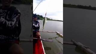 #fishingvideo #fishing #sportsfishing #fishingmethods #fishingfanatics #fishingtechniques #fish