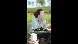 🌱 ĐẤT VÀ TRÀ - seri Nghe trà kể chuyện  | TRÀ OOLONG PHƯỚC LẠC