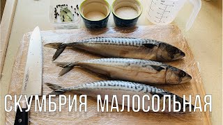 Скумбрия малосольная