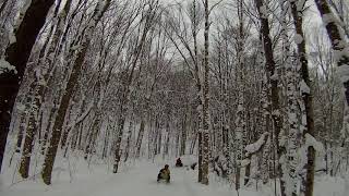 Harrisville Rod and Gun club vintage sled ride 2019 Part 2