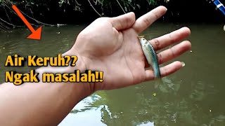 Mancing Wader pas Air Keruh??, emang doyan?? #waderan