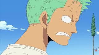 Zoro and Sanji fight  - Brohood