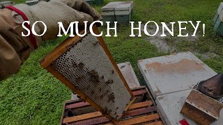 Full Boxes of Honey on May 8! The May DAILY vlog