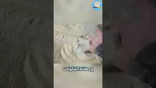 وظيفة خطيرة داخل الغلايات🔥 حقائق | غريب | مثير