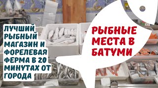 Форелевая ферма и магазин рыбы в Батуми: рыбные места