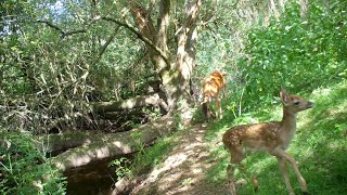 Down by the River (June)