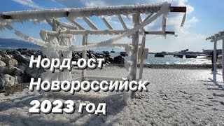 Норд-ост в Новороссийске 2023 год