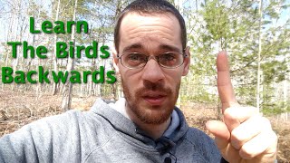 Easy Way To Learn The Birds By Ear... (Bird Sound Identification)