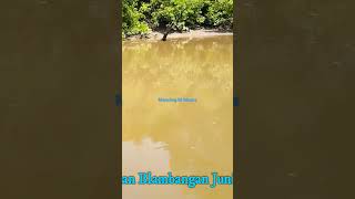 Mancing ikan Blambangan