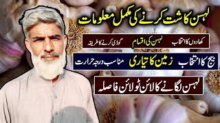 Lehsan Ki Kasht In Pakistan(Garlic Cultivation) | Lahsan Lgany Ka Treeka | Garlic Farming Pakistan