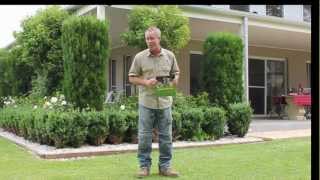 Loving Your Lawn - Your Guide to the Perfect Aussie Lawn