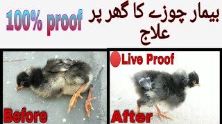 Bimar choze ka ilaj kese krein Ghr pr [ chozo ki bimari ka ilaj ] stop day old chick mortality